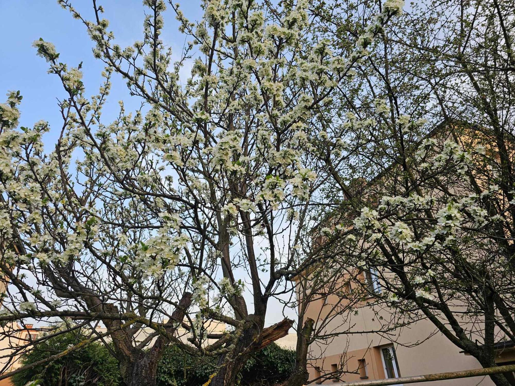 Slunny Byt V Klidne Casti Hradce Kralove - Zahrada, Parkovani Zdarma Hradec Kralove Bagian luar foto